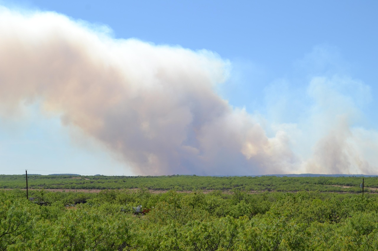 wildfire, fire, smoke, land, acreage, brush, texas, landscape, wildfire, wildfire, wildfire, wildfire, wildfire, acreage